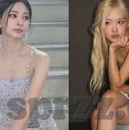 色和尚成人网视频-色和尚成人网视频，网络世界的灰色地带与道德反思